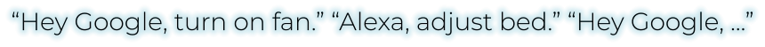 “Hey Google, turn on fan.” “Alexa, adjust bed.” “Hey Google, …”